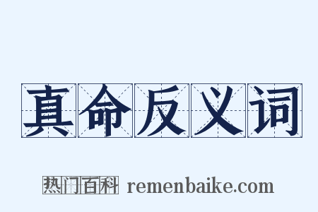 真命反义词是什么意思的图片